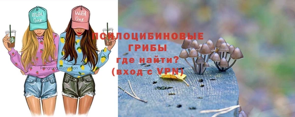 стафф Абдулино