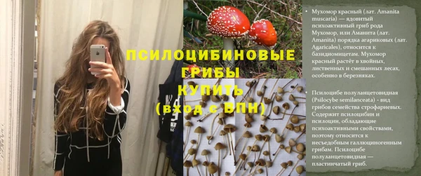 jwh Абаза