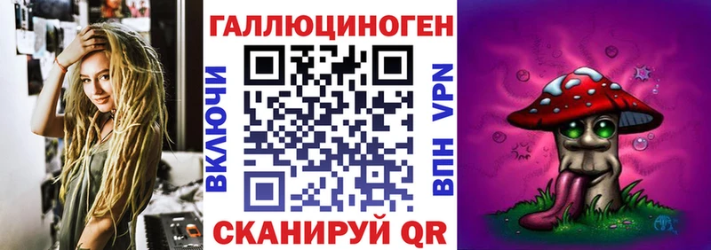 Псилоцибиновые грибы Psilocybe  Александровск 