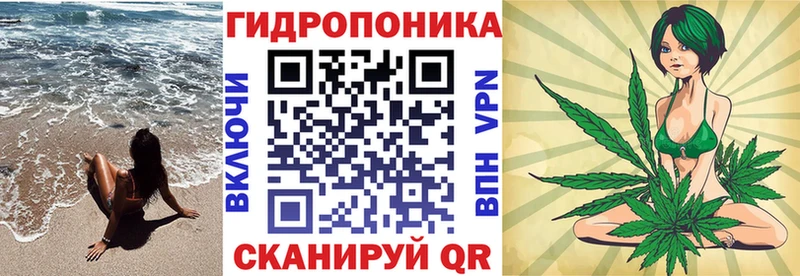 где можно купить   Александровск  blacksprut как зайти  Бошки Шишки гибрид 